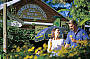 Gallery Walk Mount Tamborine