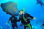 OSPREY V Reef Cruise & Glass Bottom Boat Tour