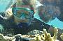 Rottnest Island Snorkelling Tours