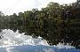 Noosa River and Everglades BBQ Lunch Cruise