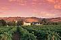 Barossa Valley