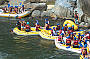 Barron River White Water Rafting Half Day (ex-Cairns/Northern Beaches)