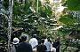 Guided Walks