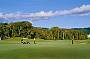 Playing the 2nd, surrounded by rainforest
