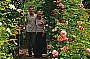 Mornington Peninsular Private Day Tours (minimum 2 people)