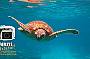 Cairns Digital - four days underwater camera rental - FREE memory upgrade