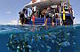 Full Day - Reef Cruise + Heli