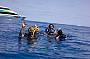 Tusa Dive - Great Barrier Reef Experience