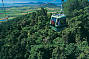 Skyrail Rainforest Cableway