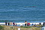 Possible Sighting of Whales during Whale Season