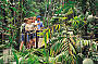 Kuranda Experience Skyrail & Train