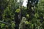 ZipLining Otway and 12 Apostles Adventure