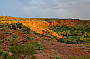 Sunset over the ridge of Watarrka National Park