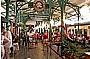 Cairns Essential Scenic Tour
