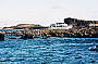 Seal Rocks 