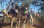 Jump on board a camel