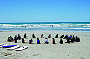 Adelaide Surf Lessons