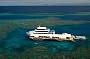 2 Day Great Barrier Reef & Daintree Eco Experience Tour