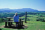 Millaa Millaa Lookout