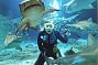 Underwater World
