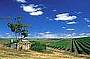 The Adelaide Hills