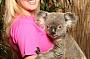Have your photo taken with a koala