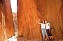 Standley Chasm