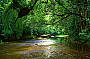 CAPE TRIBULATION DAY TOUR