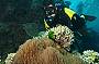 Tusa Dive 2 Day Referral Course