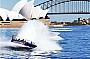 Harbour Jet - Jet Blast Adventure