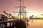 Wine & Canapes Dinner Cruise