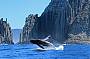 TASMAN ISLAND CRUISE