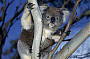 2 Day Great Ocean Road- avail from Oct 2012