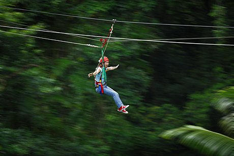 Jungle Surfing