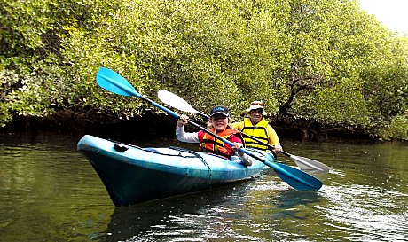 Dolphin Sanctuary Kayaking Tour AM
