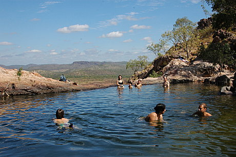 Kakadu