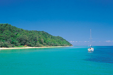 Cape Tribulation & Daintree Starter Pak Overnight Stays