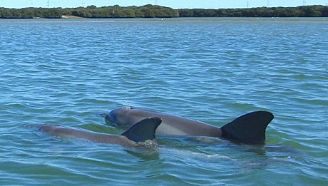 A couple of our friends we often see on our tour.