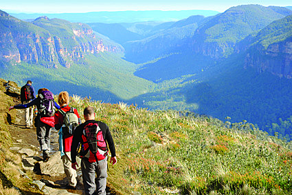 Blue Mountains Panoramic Walk