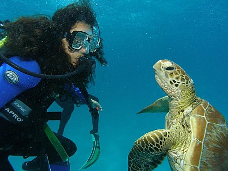 Shared Cabin - Single - 2 Day 1 Night Great Barrier Reef Dive & Snorkel Trip