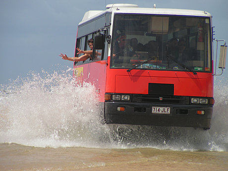 Our 4WD Buses