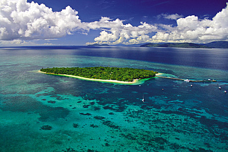 Green Island Reef Cruise - Full Day 9am