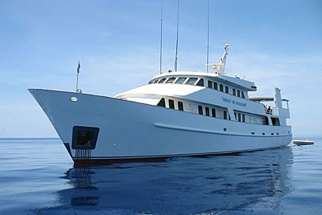 4 Day Coral Sea Dive Trip - Quad Share