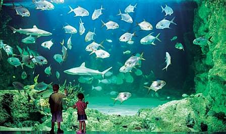 Sydney Attractions Pass - 2 day with Transport
