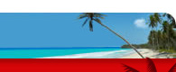 Search Tourstogo.com