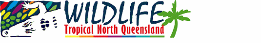 Wildlife Tropical North Queensland